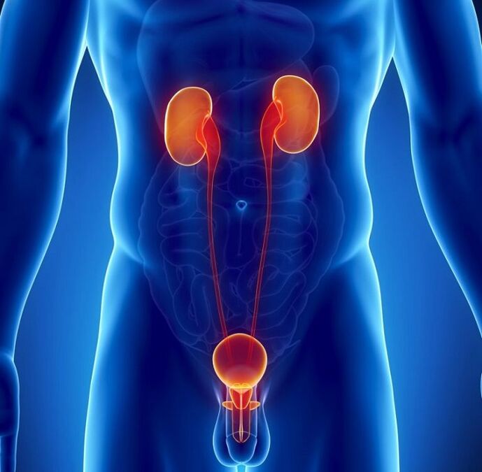 welche chronischen Krankheiten die männliche Potenz beeinträchtigen können